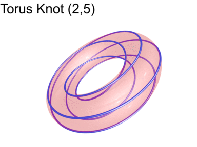 torus_knot_2_5_small.gif